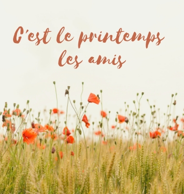 Sortie de printemps