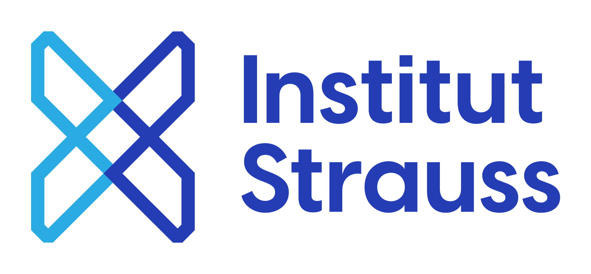 Institut Strauss